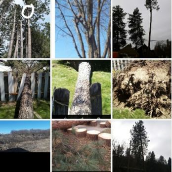 Stumpies Tree Service - Just some of the many jobs we have worked on dangerous Trees, Storm clean up, corrective Prunning .
BIG OR SMALL WE DROP THEM ALL - Tree Services Near Me Stumpies Tree Service - Just some of the many jobs we have worked on dangerous Trees, Storm clean up, corrective Prunning .
BIG OR SMALL WE DROP THEM ALL - Tree Services Near Me