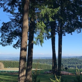 Six Peaks Winery - Deck view - Wineries Near Me - Hillsboro, Oregon Six Peaks Winery - Deck view - Wineries Near Me - Hillsboro, Oregon