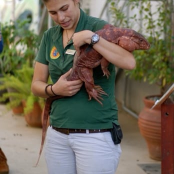 Wildlife Learning Center - Zoos Near Me - Sylmar, California Wildlife Learning Center - Zoos Near Me - Sylmar, California