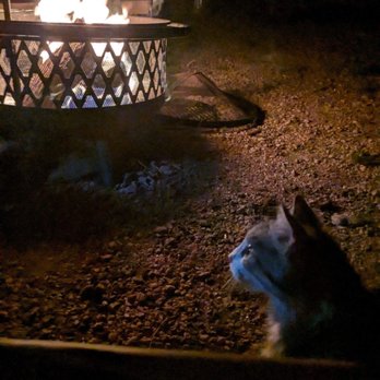 DOS RIOS RV PARK - Updated January 2026 - 135 Photos & 41 Reviews ...