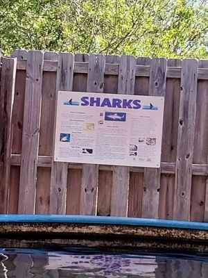 Alabama Aquarium at the Dauphin Island Sea Lab by null