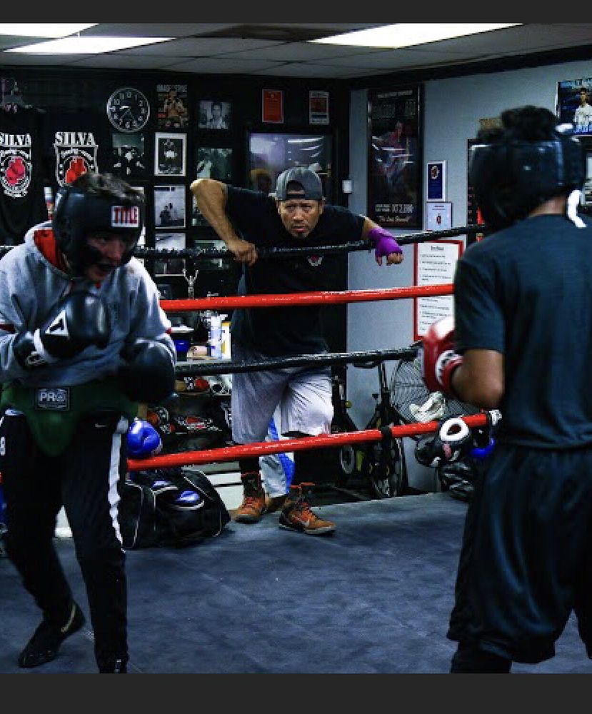 SILVA BOXING MMA 84 Photos & 34 Reviews Boxing 7533 Fallbrook