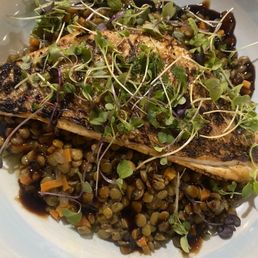 Pan seared red snapper with lentils in balsamic