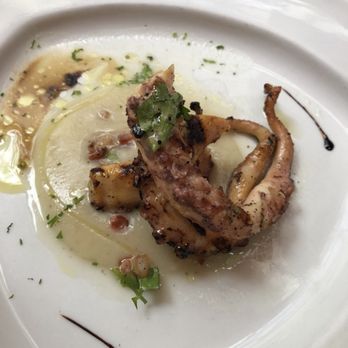 Scalini Osteria - grilled octopus - Italian Near Me - Bronxville, New York Scalini Osteria - grilled octopus - Italian Near Me - Bronxville, New York