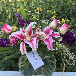 So surprised to receive these fabulous flowers on Mothers Day!