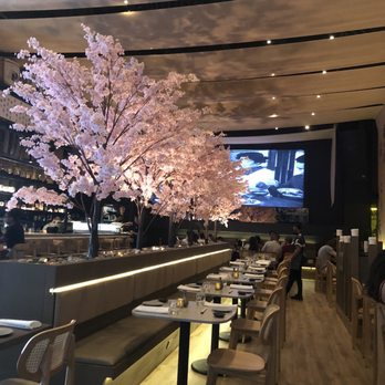 Paperfish Sushi - Inside the restaurant, beautiful cherry blossom! - Sushi Bars Near Me - Miami, Florida Paperfish Sushi - Inside the restaurant, beautiful cherry blossom! - Sushi Bars Near Me - Miami, Florida