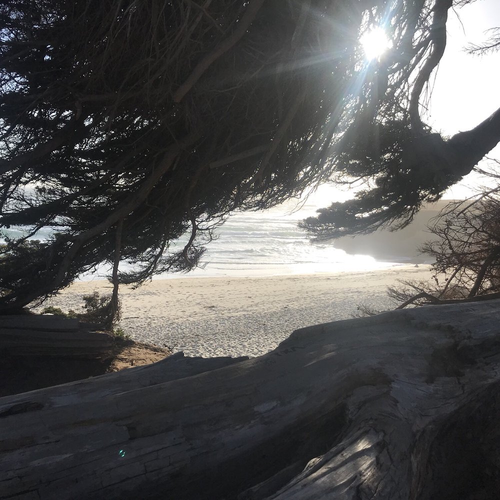 Surf and Sand Lodge - Hotels Near Me - Fort Bragg, California Surf and Sand Lodge - Hotels Near Me - Fort Bragg, California