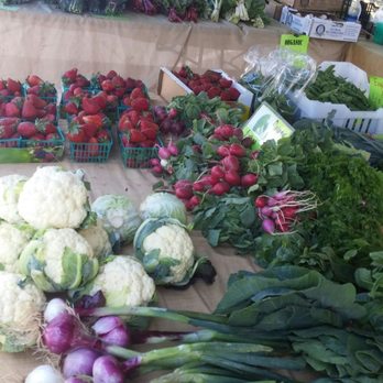 Modesto Certified Farmers' Market - Vegetales - Farmers Market Near Me - Modesto, California