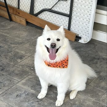 Planet Pet Spa - Pet Groomers Near Me - San Antonio, Texas Planet Pet Spa - Pet Groomers Near Me - San Antonio, Texas