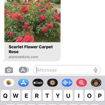 Aaron's Tree & Landscaping Services - Tree Services Near Me - Dayton, Ohio Aaron's Tree & Landscaping Services - Tree Services Near Me - Dayton, Ohio
