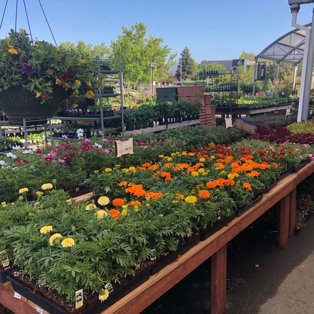 SummerWinds Nursery - Cupertino - Nurseries & Gardening Near Me - Cupertino, California SummerWinds Nursery - Cupertino - Nurseries & Gardening Near Me - Cupertino, California