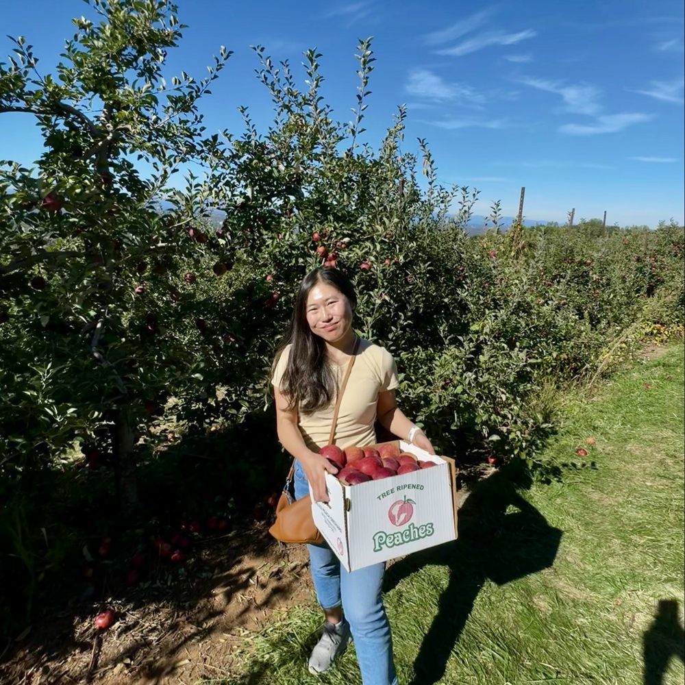 Carter Mountain Orchard - Before the apples fell - Pick Your Own Farms Near Me - Charlottesville, Virginia Carter Mountain Orchard - Before the apples fell - Pick Your Own Farms Near Me - Charlottesville, Virginia