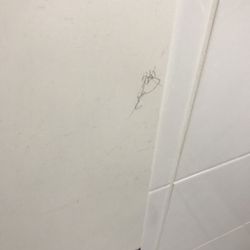 Ibis Budget Paris Porte de Bercy - Unclean shower. Yes, that is hair