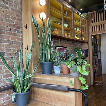 Maynard - the interior of a coffee shop with potted plants - Southern Near Me - Montreal, Quebec Maynard - the interior of a coffee shop with potted plants - Southern Near Me - Montreal, Quebec