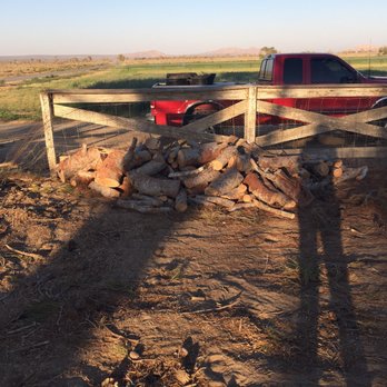 Chads Chippers - Tree Services Near Me - Lancaster, California Chads Chippers - Tree Services Near Me - Lancaster, California
