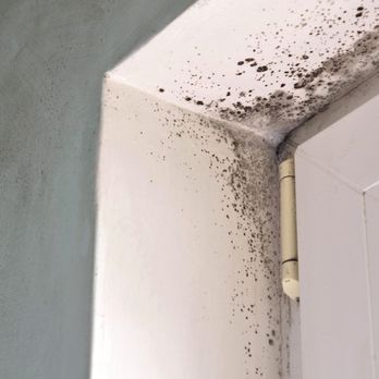 Jolley Pros - Damage Restoration Near Me