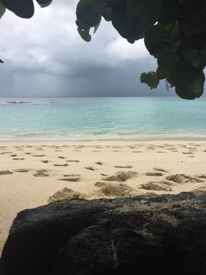 Cayo Luis Peña by null