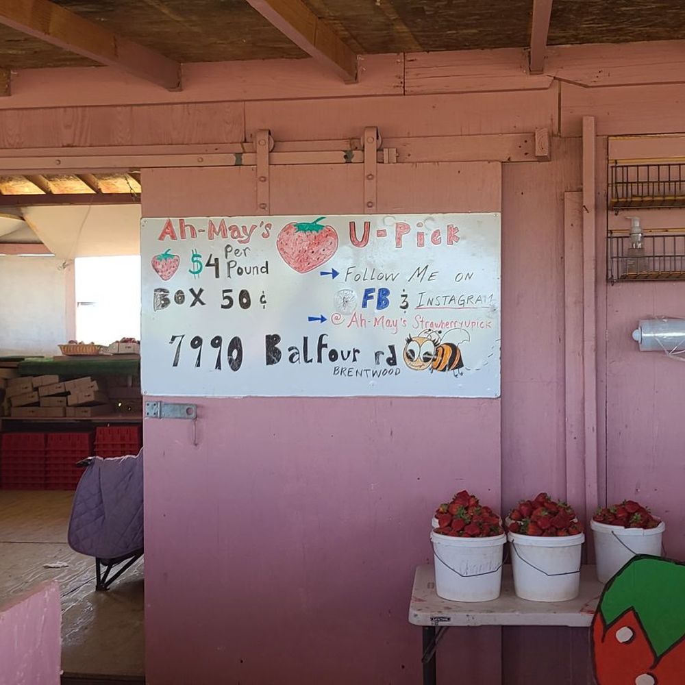 Current price Current price