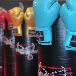 carbon strike boxing gloves