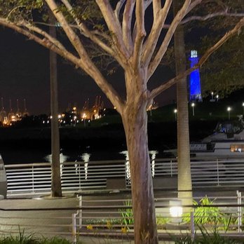 Rainbow Harbor and Marina - Marinas Near Me - Long Beach, California