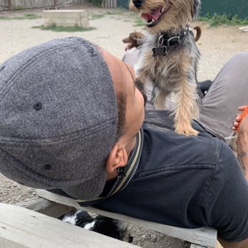 SFWoofPack - Little Dude hearts Rick - Dog Walkers Near Me