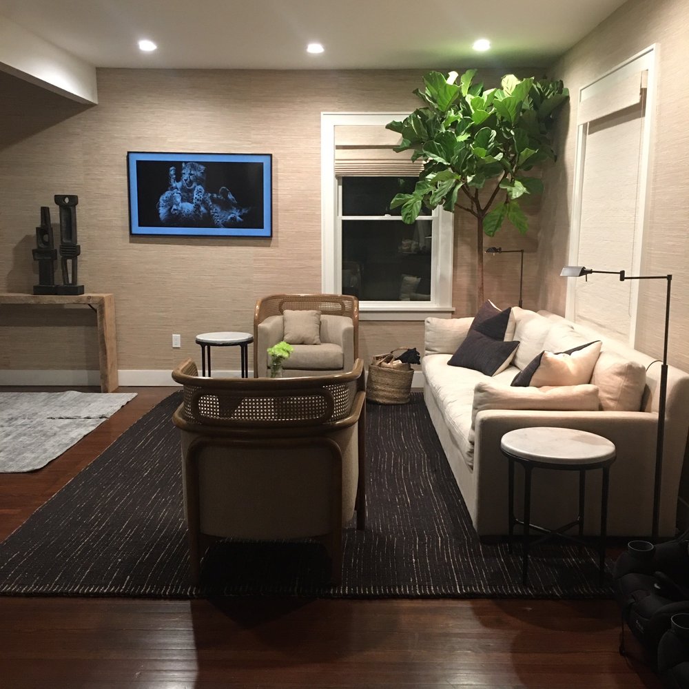 Barlow's - Fiddle leaf dig tree, 9' tall - Nurseries & Gardening Near Me - Sea Girt, New Jersey