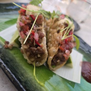 Sushisamba - Kobe Beef TAQUITOS - Japanese Near Me - West Hollywood, California Sushisamba - Kobe Beef TAQUITOS - Japanese Near Me - West Hollywood, California