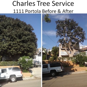Charles Tree Service - Before & After - Tree Services Near Me - Lemon Grove, California Charles Tree Service - Before & After - Tree Services Near Me - Lemon Grove, California