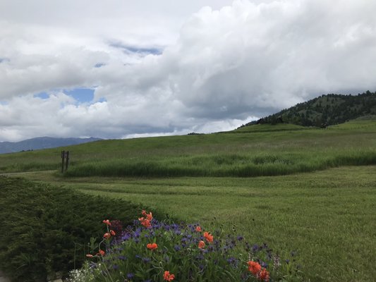 Howlers Inn B&B and Wolf Sanctuary, Bozeman MT Bed and Breakfast Lodging by null