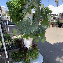 Alamitos Bay Marina Arts & Crafts Fair
