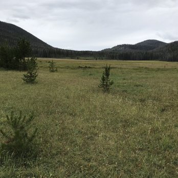 Strawberry Lake Trailhead - Huge meadow, thinking lots of elk here sometimes - Hiking Near Me - Granby, Colorado