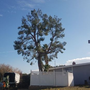 Lopez Landscaping - Landscaping Near Me - Acton, California