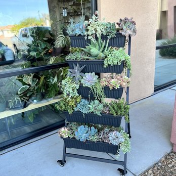 Rooting For You - Rooting For You - Indoor Plants 2380 N. Buffalo Dr. #115 - Home Decor Near Me - Las Vegas, Nevada