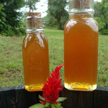 Hive Five Apiary & Bee Supply - Early spring wildflower honey. - Attraction Farms Near Me - Tappahannock, Virginia Hive Five Apiary & Bee Supply - Early spring wildflower honey. - Attraction Farms Near Me - Tappahannock, Virginia