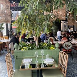 ilili DC - Stylish dining room with greenery.