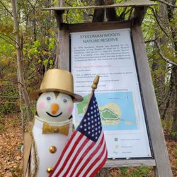 Steedman Woods