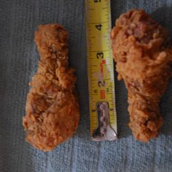 Hartz Chicken Buffet - Little Chicken NOT Chicken Little !!!