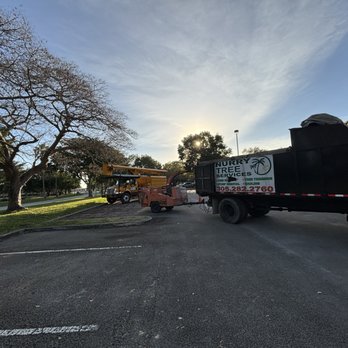 Nurry Tree Services - Tree removal - Tree Services Near Me