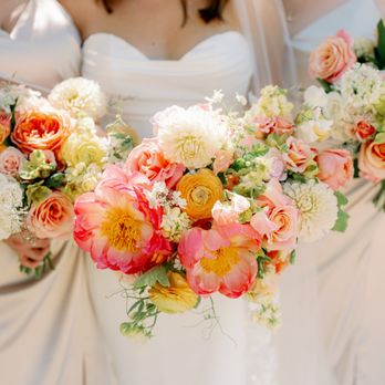 Monica Lam Photography - Event Photography Near Me