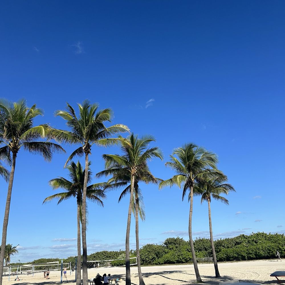 Miami Beach - Beaches Near Me - Miami Beach, Florida Miami Beach - Beaches Near Me - Miami Beach, Florida