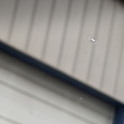 Bellingham Detail & Glass - Repaired rock chip. Cracks are gone!