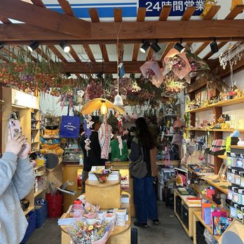 The Inconvenience Store - Gift Shops Near Me - Costa Mesa, California