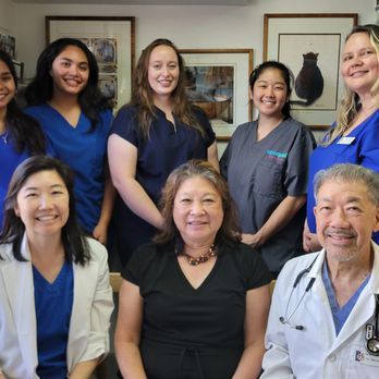 Island Veterinary Care - Island Veterinary Care Team - Veterinarians Near Me - Honolulu, Hawaii Island Veterinary Care - Island Veterinary Care Team - Veterinarians Near Me - Honolulu, Hawaii
