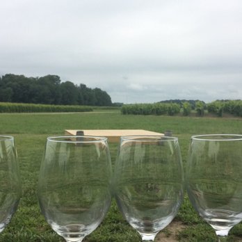 Cogdal Vineyards - Peaceful view from the patio... - Wineries Near Me - South Haven, Michigan
