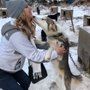 Photo of A+ Dog Sled Excursions & Tours