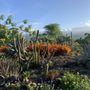 Photo of Maka'eo Walking Path