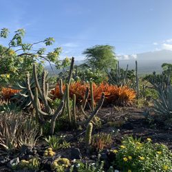 Maka'eo Walking Path