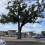 Photo of H-E-B