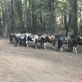 Greenhorn Ranch - Horseback Riding Near Me - Quincy, California Greenhorn Ranch - Horseback Riding Near Me - Quincy, California
