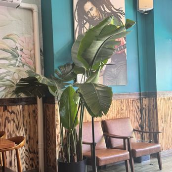 Stella's - Caribbean Near Me - Brooklyn, New York Stella's - Caribbean Near Me - Brooklyn, New York